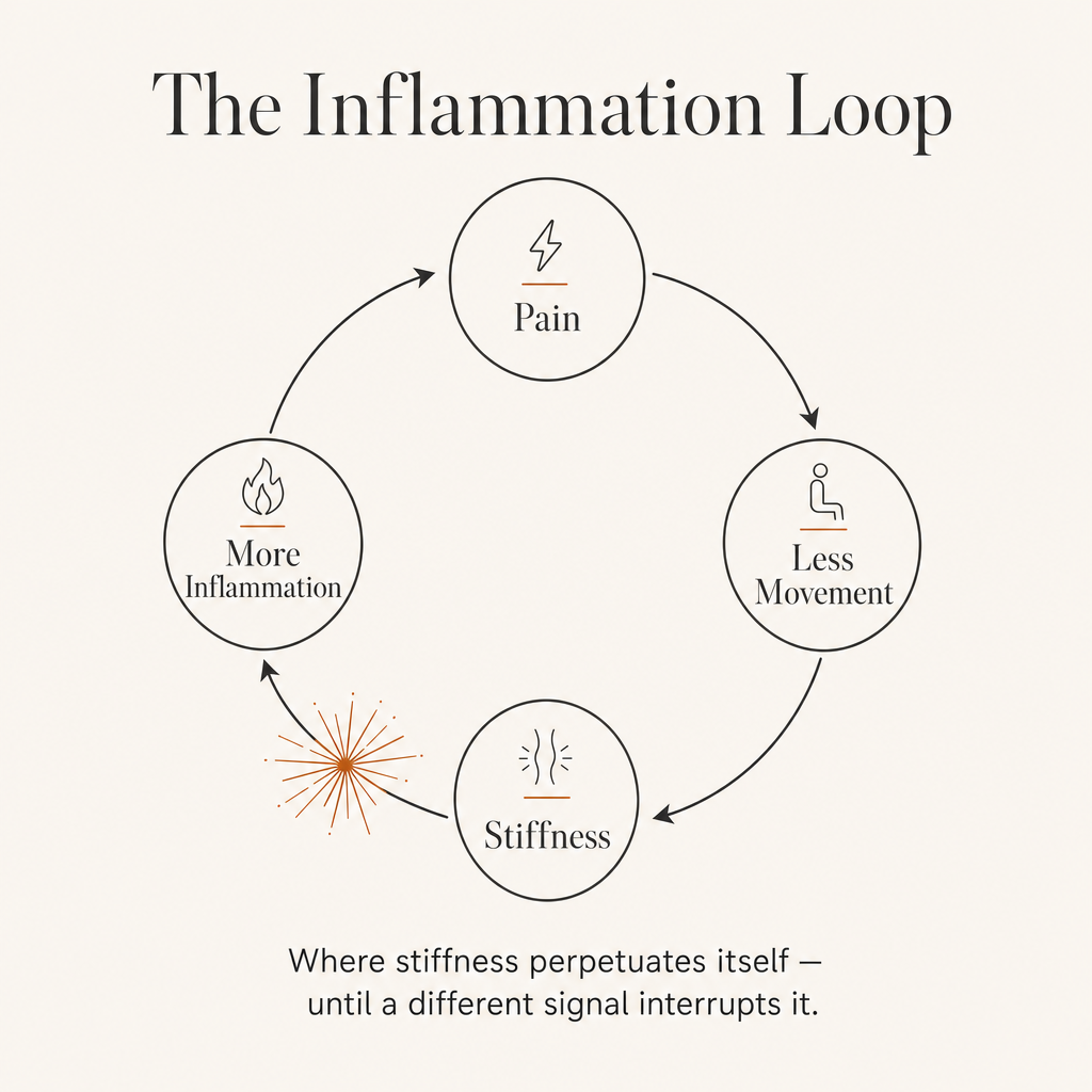 The Inflammation Loop — circular diagram showing the chronic joint stiffness cycle (Pain, Less Movement, Stiffness, More Inflammation) being interrupted by an amber light signal